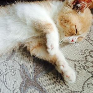 男女亲吻性视频
