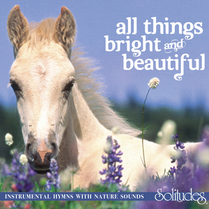 男女亲吻性视频
